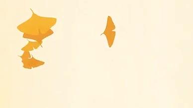 立秋节气银杏飘落麦穗丰收积水模板片头Ae视频的预览图